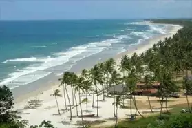 Beau Terrain sur la Plage au Brésil ...