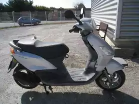 Scooter Fly 100