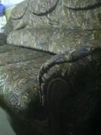 Canapé-lits