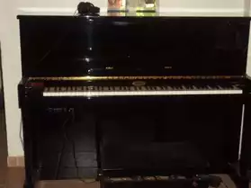 Très bon piano