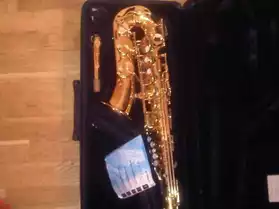 Saxophone alto YAMAHA YAS 275 (+access)