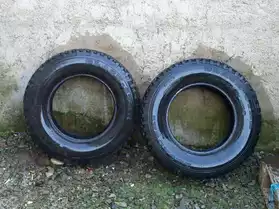 2 pneus mixtes 4x4