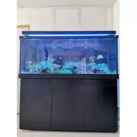 Aquarium eau de mer
