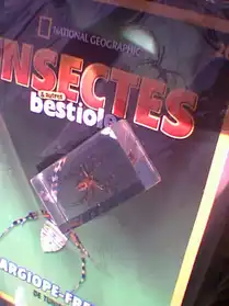 Insectes et autres bestioles n°20 NEUF