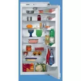 Réfrigérateur intégrable tout utile