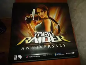 Poster double face Tomb Raider