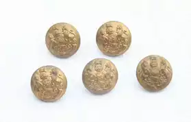 5 boutons anciens dorés armoiries