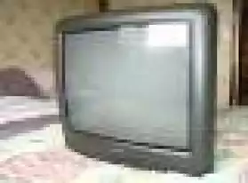 Télévision analogique 51 cm