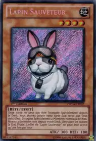 YU GI OH Deck Dino Rabbit
