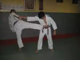 donne cours de ju jitsu self defense