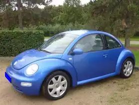 Volkswagen New Beetle tdi 100 miami