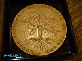 medaile du tresor public bronze