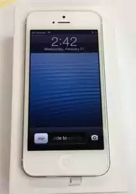Apple iPhone 5- 16 Go - blanc et argent