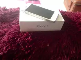 iPhone 5S blanc argenté 16go