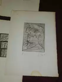 Gravures de Pablo Picasso, Andre Masson