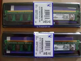 2 barrettes mémoire DDR2 1 go