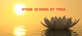 Stage de Qi gong et de Yoga à Metz