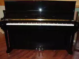 PIANO PEARL RIVER NOIR LAQUE