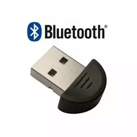 Mini Clé USB 2.0 Dongle Bluetooth