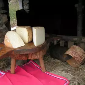 fromage des Pyrénées direct producteur