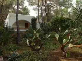 Maison à Ibiza (Espagne)