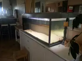aquarium complet 240 litres