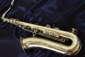 Superbe saxophone ténor pro Keilwerth SX