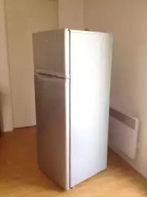 Réfrigérateur CANDY CFD2454
