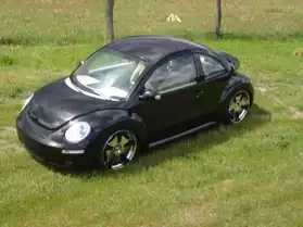 Volkswagen New Beetle New 1.8 T