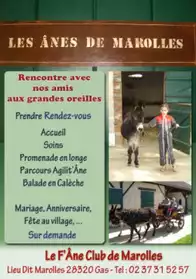 Petites annonces gratuites 28 Eure et Loir - Marche.fr