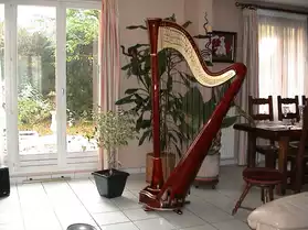 Harpe de concert 47 cordes double