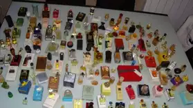 collection de miniatures de parfums