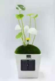 Lampe solaire champignon à LED - neuve