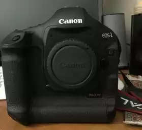Boitier Canon EOS 1 D mark IV +EF 28-300