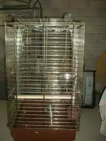 cage oiseaux