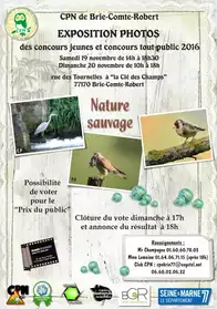 EXPOSITION PHOTO NATURE