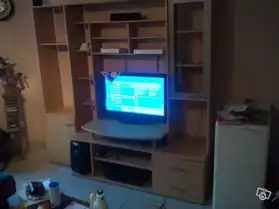 grand meuble tv (faire offre)