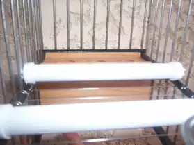 veritable cage malaguena complete