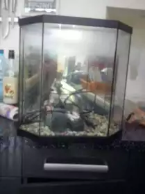Aquarium 33 litres