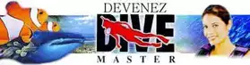 Formation plongée Niveau 4 - Dive Master
