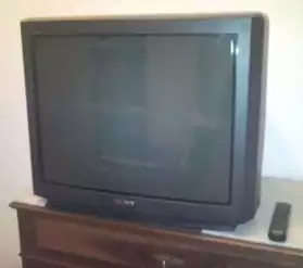 TV SONY couleur 72cm Stéréo