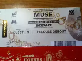 Place MUSE concert Stade de France 22/06
