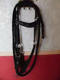 Licol noir équitation cheval sans la lon