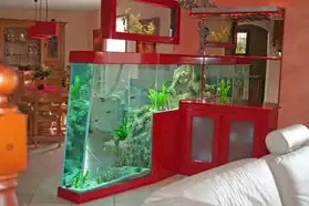 Entretien d'Aquarium à domicile