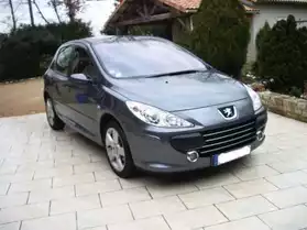 Peugeot 307 1,6 HDI premium
