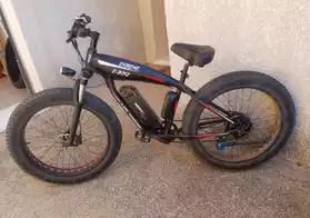 Fat Bike