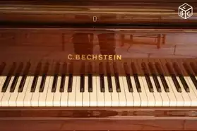 Cours de Piano / Clavecin