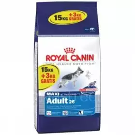 maxi adult croquettes royal canin