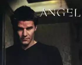 Angel intégral de la série en DVD