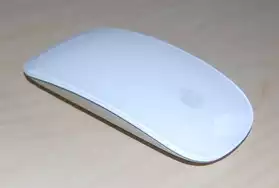 Sourie apple Magic Mouse